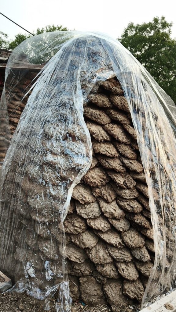 cow dung upla powder and solid pure at organicdungcake.com